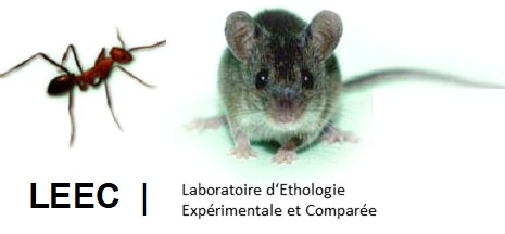 <b>Laboratoire d'Ethologie Expérimentale et Comparée • UR4443</b>